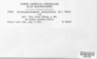 Image Associated With the Occurence